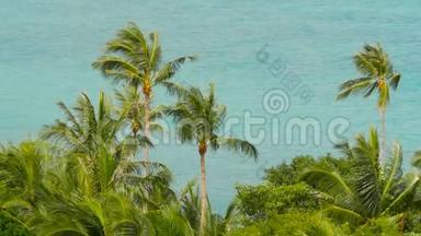 热带海岸有异国情调的椰子绿棕榈树和蔚蓝的海水
